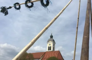 Maibaum aufstellen