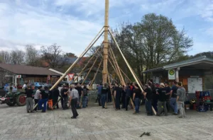 Maibaum aufstellen