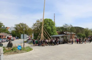 Maibaum aufstellen