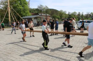 Maibaum aufstellen